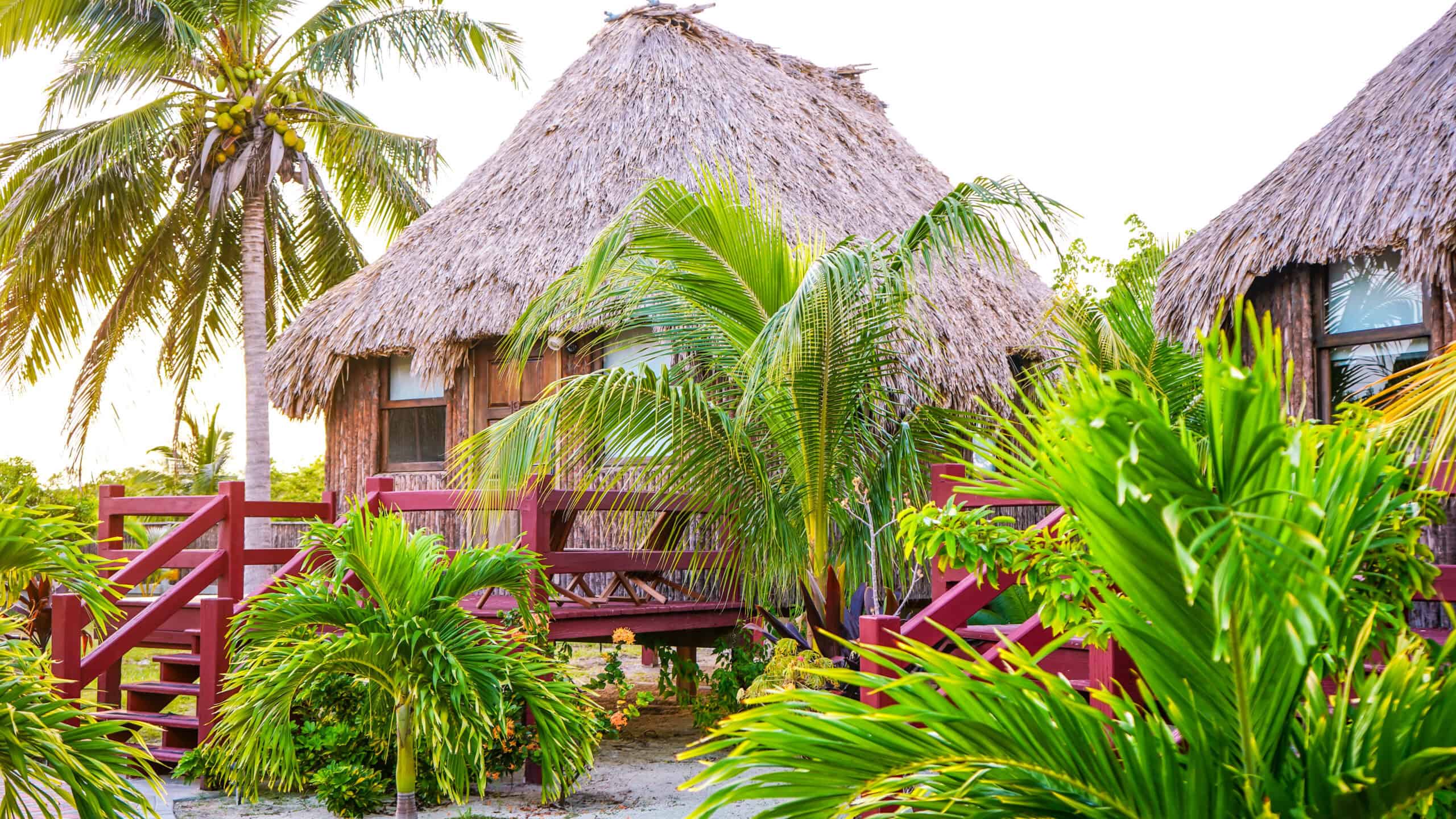 Two thatch hut roof homes with red fencing surrounded by tropical trees