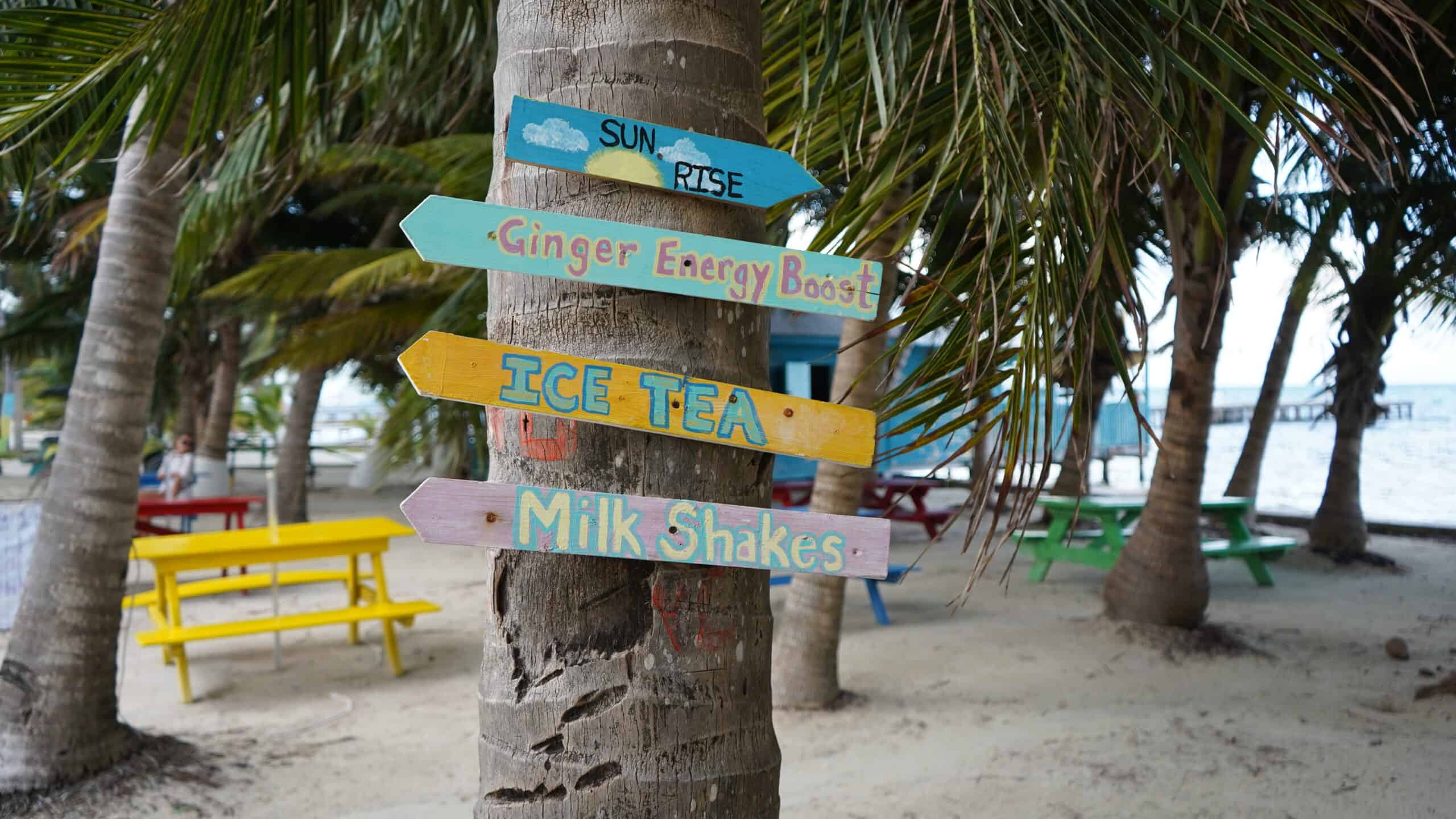 Brightly colored painted wooden signs on a tropical tree trunk that say sun rise, ginger energy boost, ice tea, milk shakes