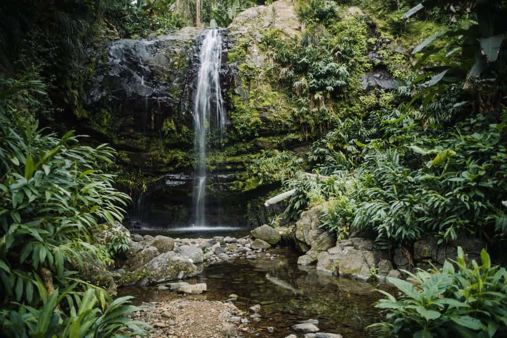 A waterfall off a cliff into a pool of dark water in a rainfrest.