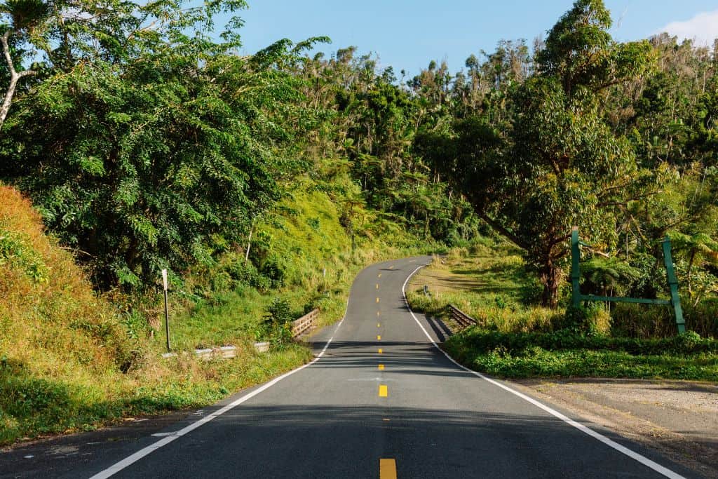 A road with yellow dashed lines in the middle leading into a bright green tropical jungle.