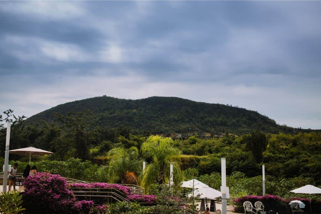 An view of green hills, tropical palms and pink flowers surrounding staircases, white umbrellas and chairs. 