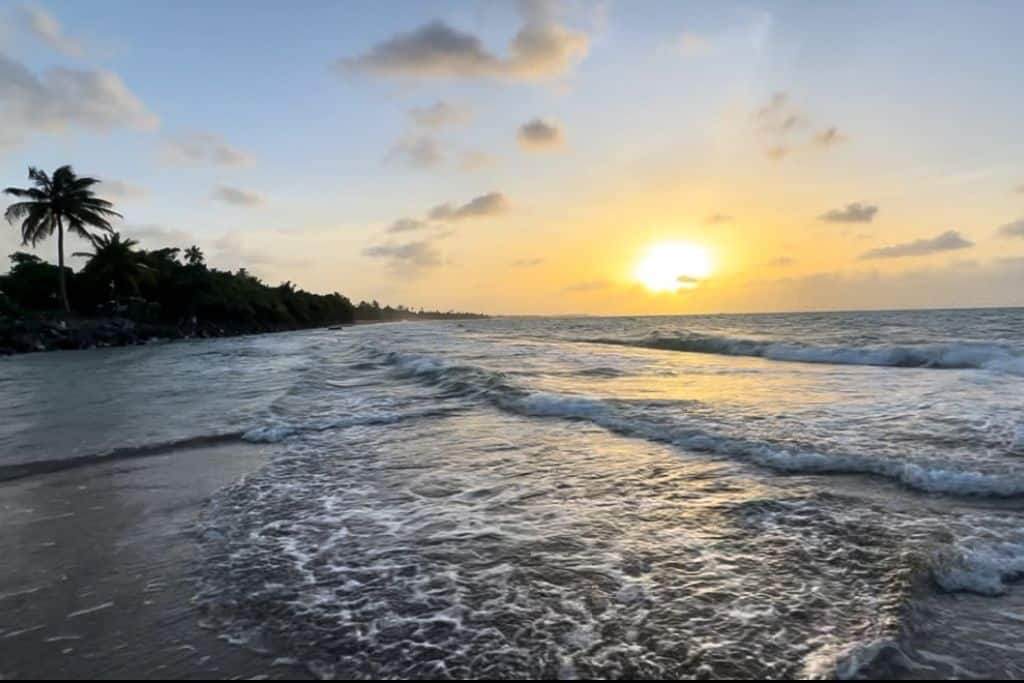 The sun setting over flowing ocean waters with a shadow of palm trees off to the left side