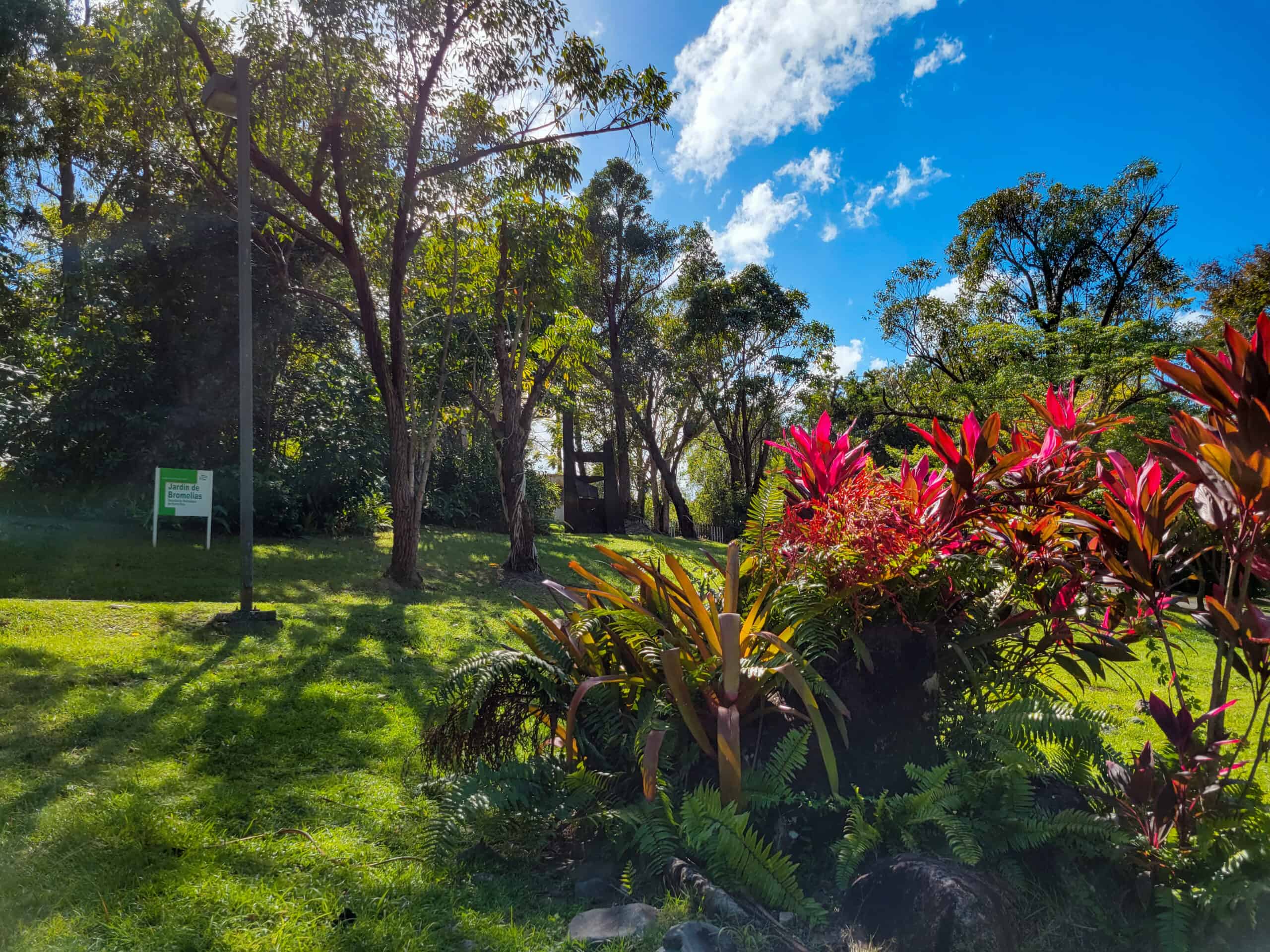 A view of plants and flowers at Jardin Botanico on a day with blue skies and clouds.