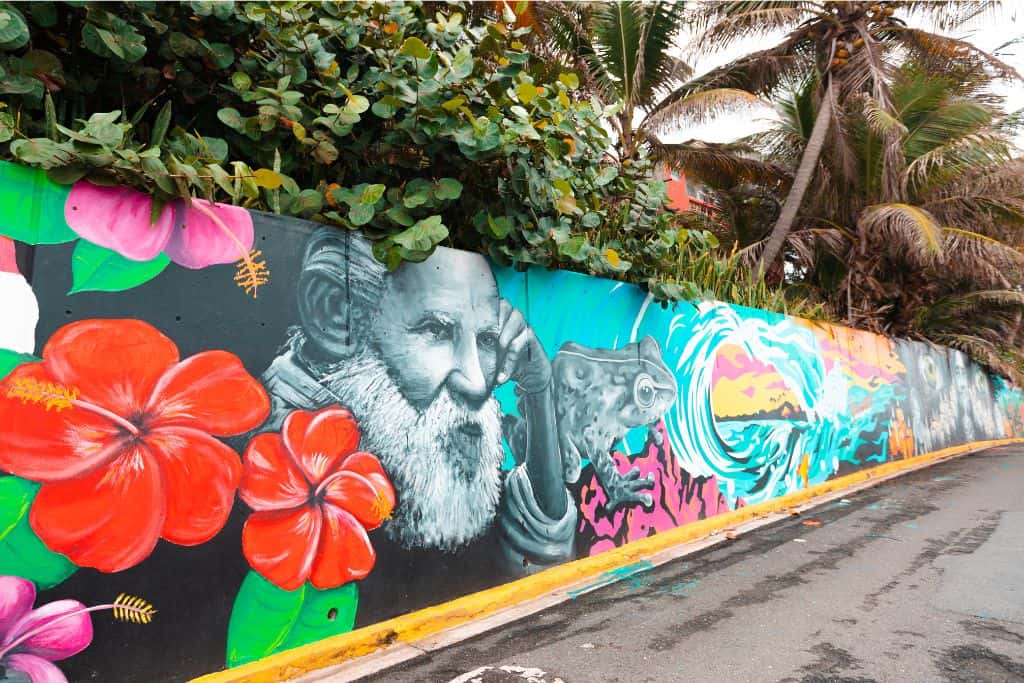 A colorful painted art mural with flowers, an old man, a frog and a wave  against a street with tropical plants overhanging it.