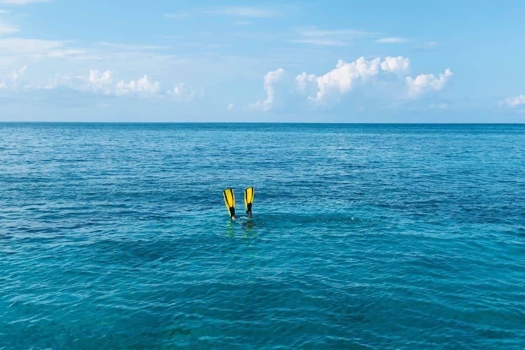 A pair of yellow snorkeling flippers sticking out of a brightly colored turquoise ocean.