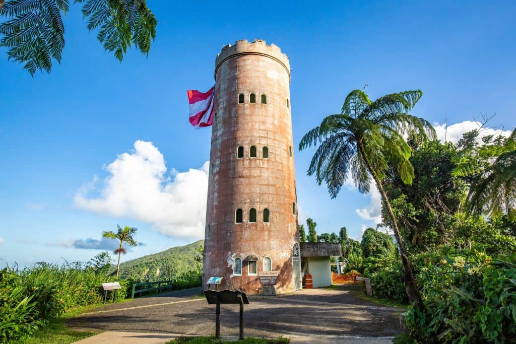 A tall brown tower with small windows in it and a red and white striped flag hanging off of it, surrounded by palm trees.