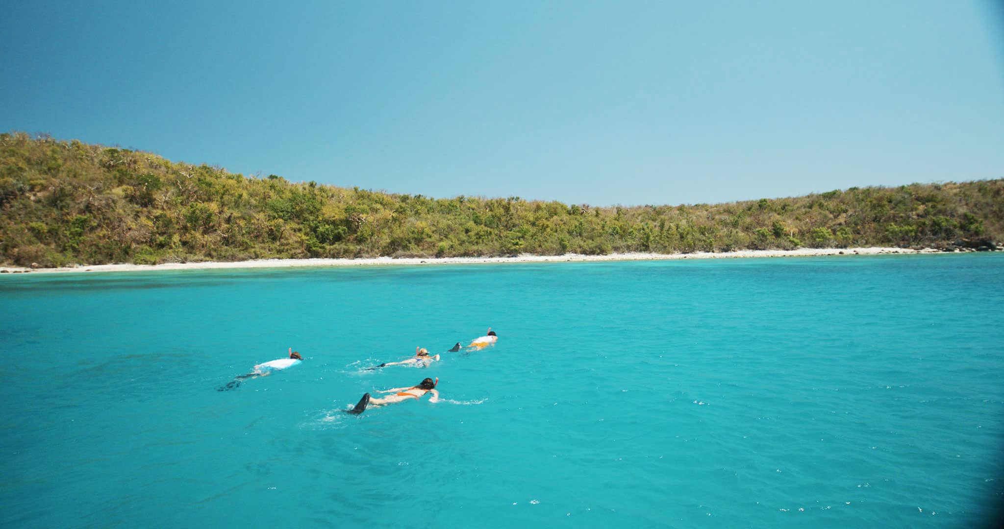 A group of 3 people with snorkels and fins on, swimming face down in clear waters along a beach lined with palm trees