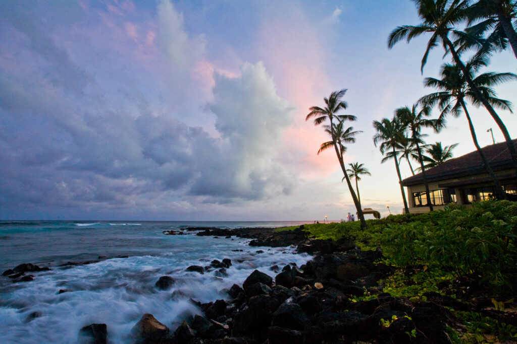 A view at sunset of palm trees against an ocean and cotton candy colored skies