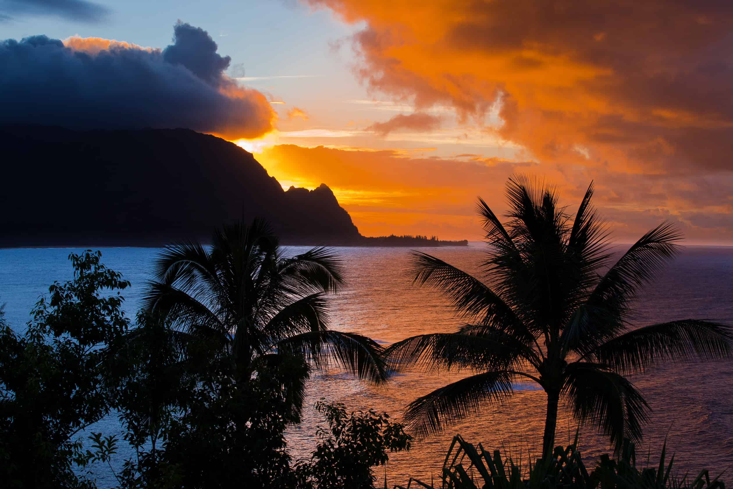 A sunset behind Bali Hai in Kauai with palm tree silhouettes in the foreground