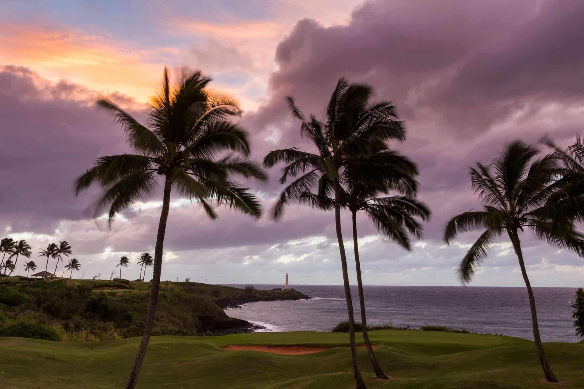 Palm tree silhouettes in the foreground overlooking a lighthouse in the distance under a cotton candy sky in Kauai