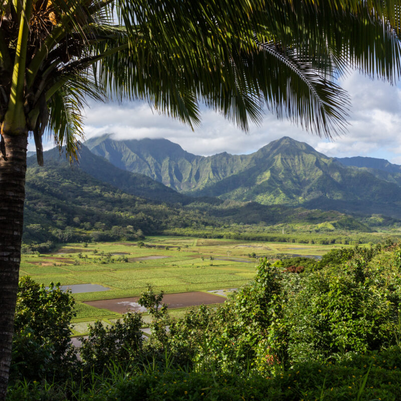 An overlook of a valley with tall mountains covered in greenery in the background