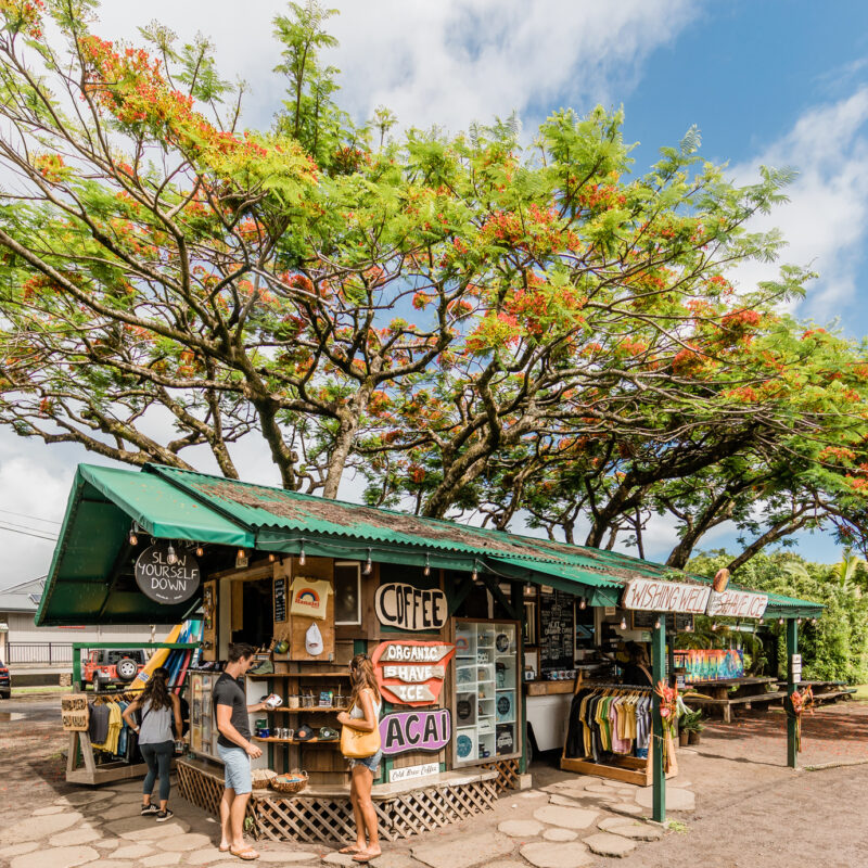 A man and woman standing at a farm stand with a green roof and a giant tree behind it in Hanalei