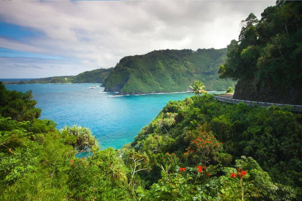 Overlooking a body of deep blue turquoise with a mountain in the background and flowery foliage in the foreground.