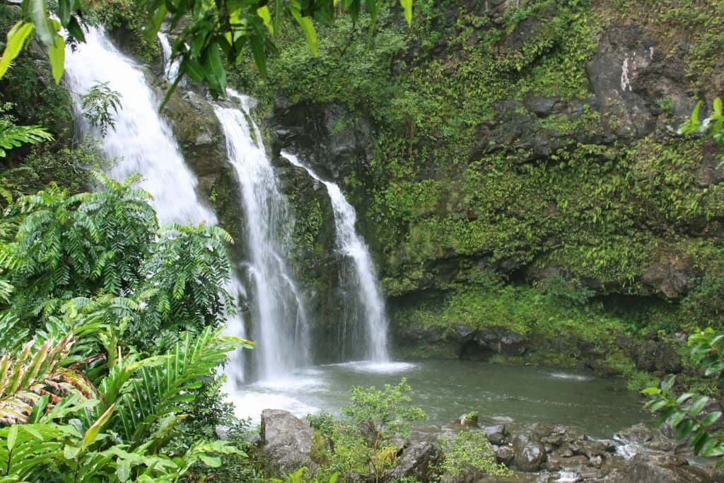 Waterfalls cascading down into a dark pool of water, surrounded by lush foliage