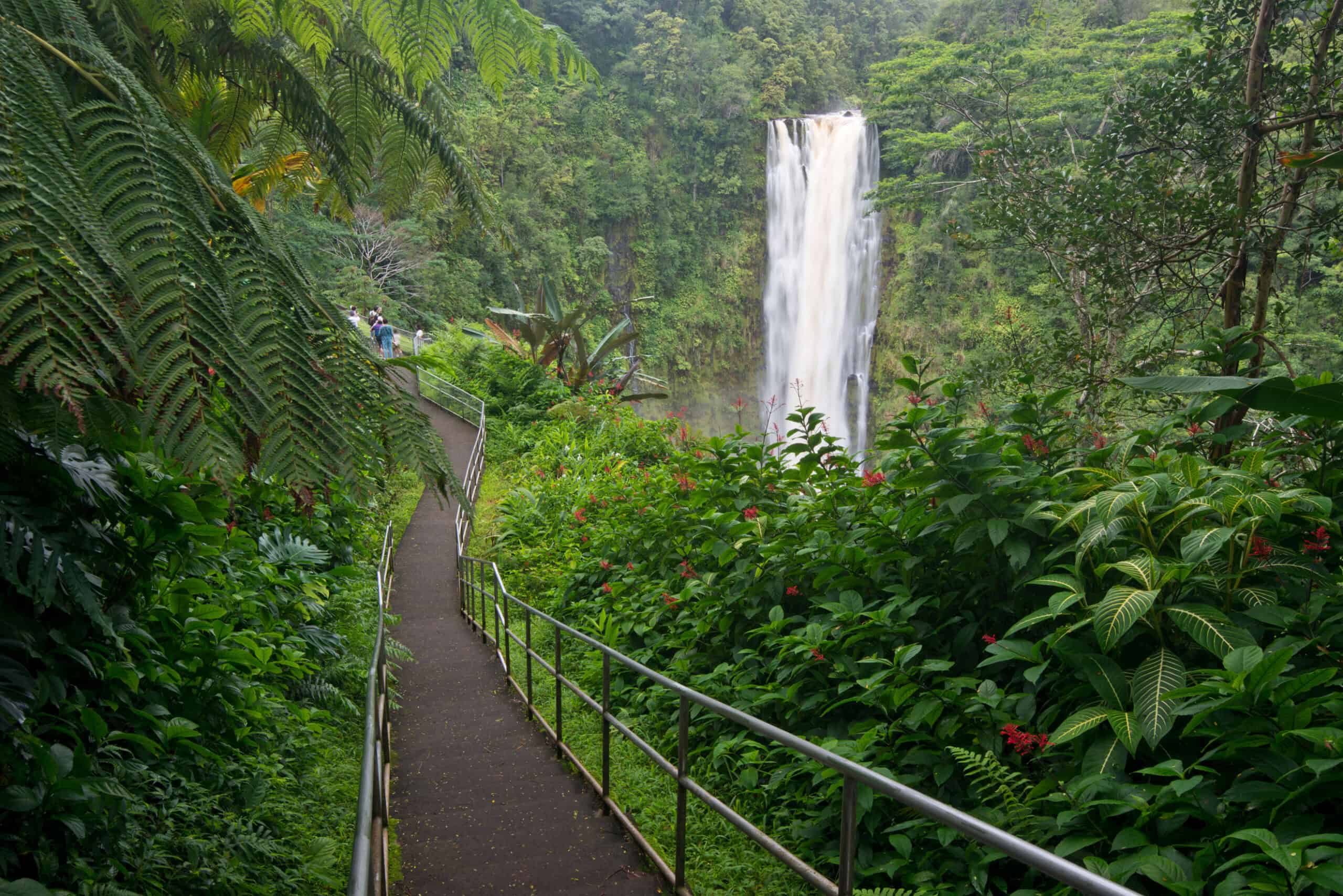 A dirt path with handrails on either side, surrounded by bright green foliage, with a stunning tall white waterfall in the background.