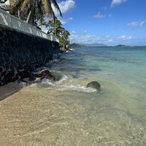 The edge of a pale blue ocean with some small rocks in the water and a wall and palm trees to the left