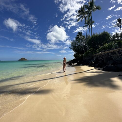 A stunning tropical beach with a woman in a bikini walking down it and palm trees, the ocean and a small island in the background