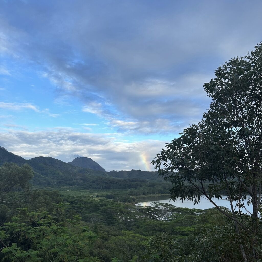 A tropical forest with bright blue skies and a rainbow in the distance near a pond or lake