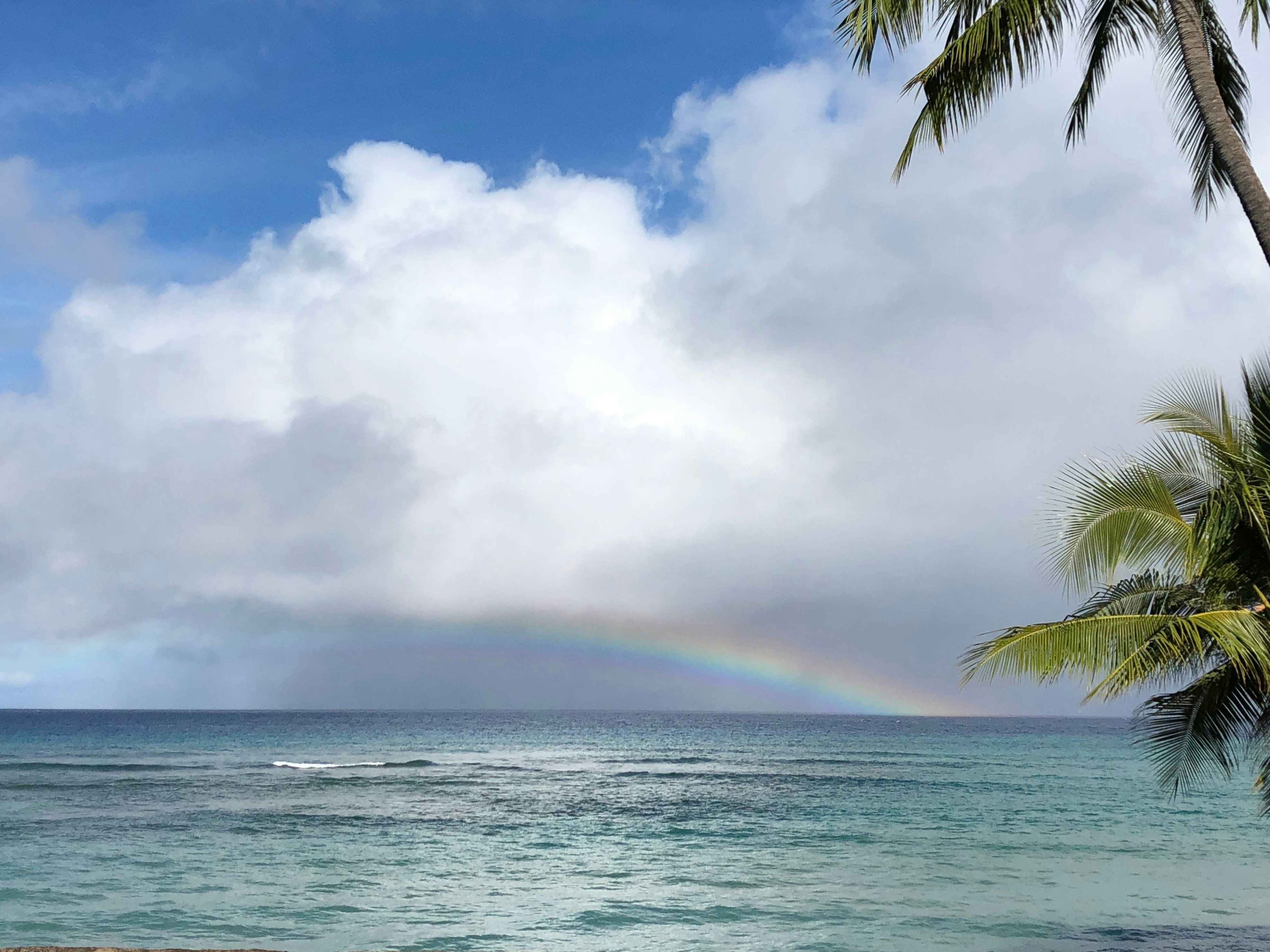 A rainbow in the ocean under a stormy cloud with the ocean in the foreground.