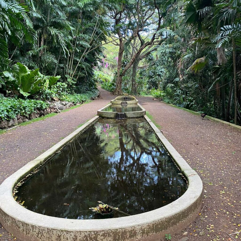 A long narrow decorative pool of water surrounded by a tropical forest