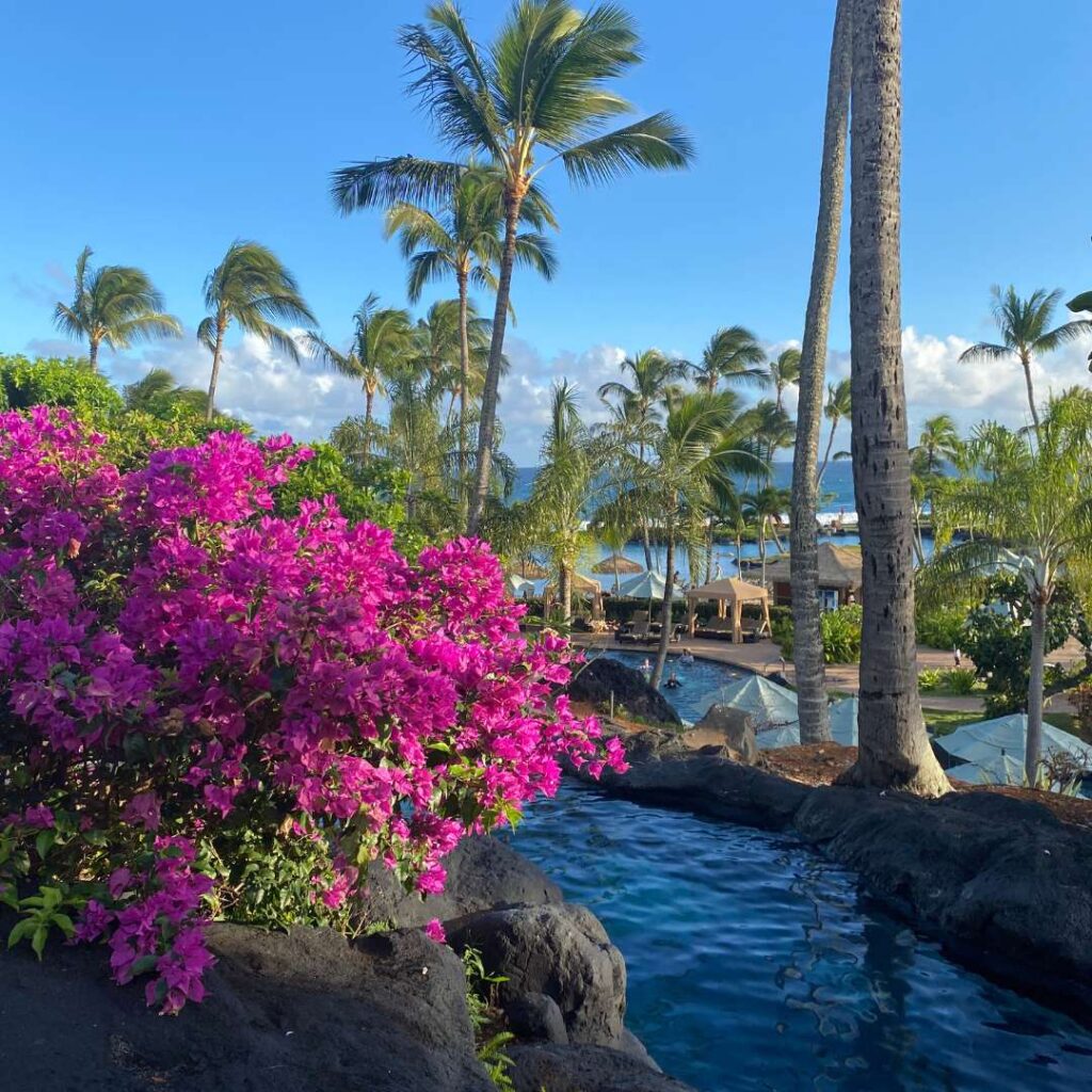 Bright pink flowers to the left with swimming pools and palm trees.