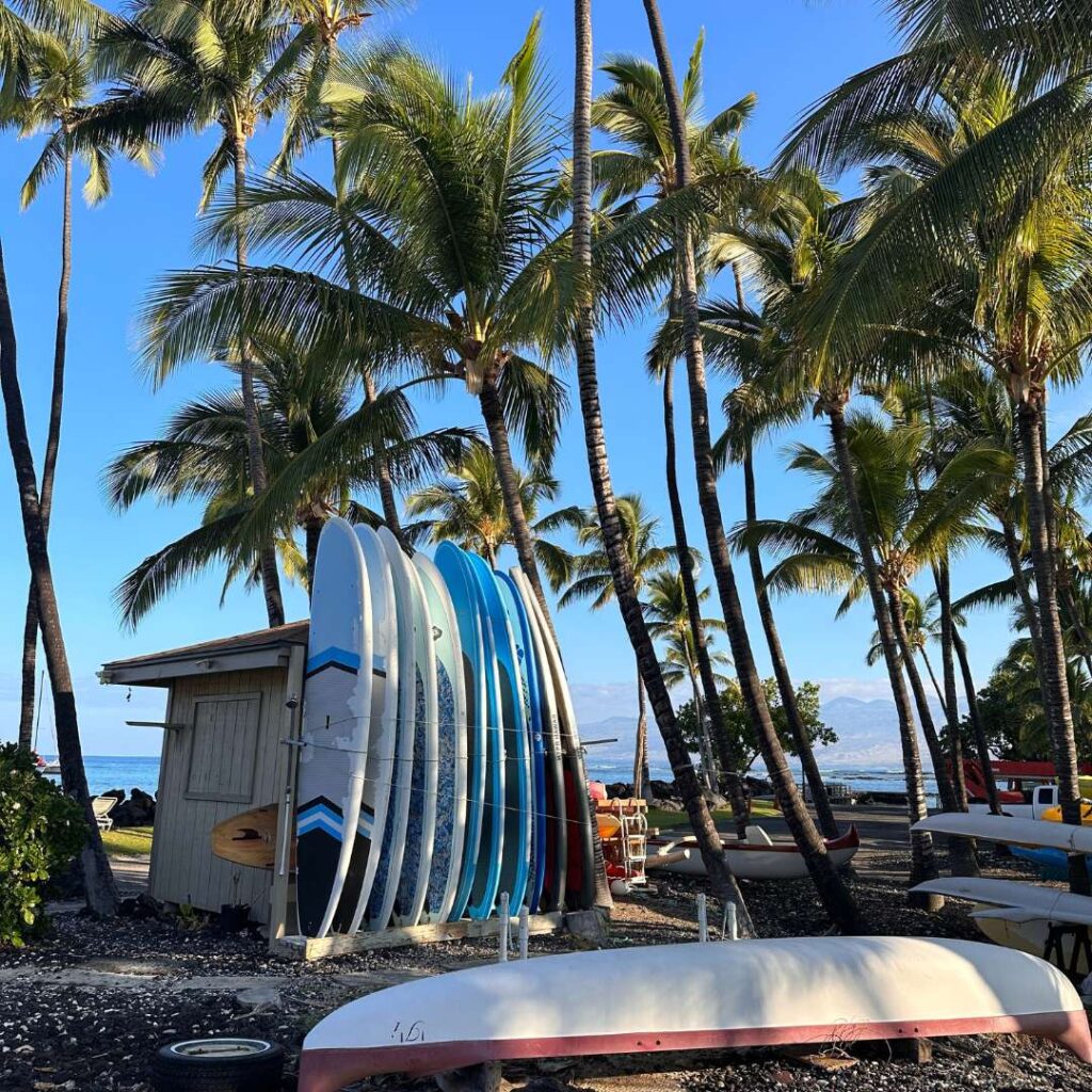 Surf boards leaning up against a hut with palm trees surrounding them.