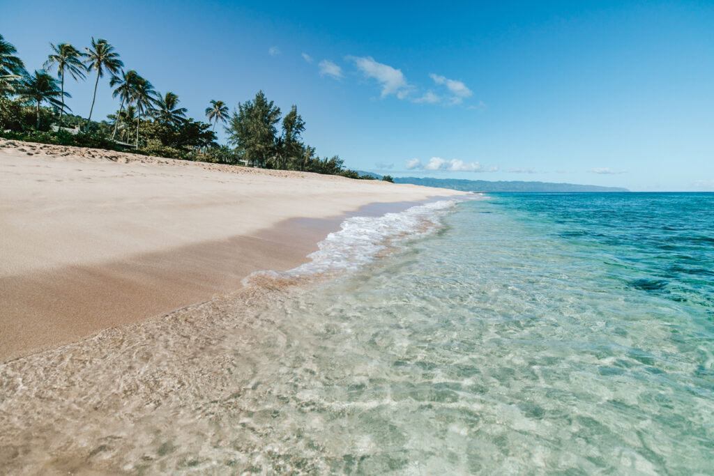 A white sand beach with palm trees and calm turquoise water