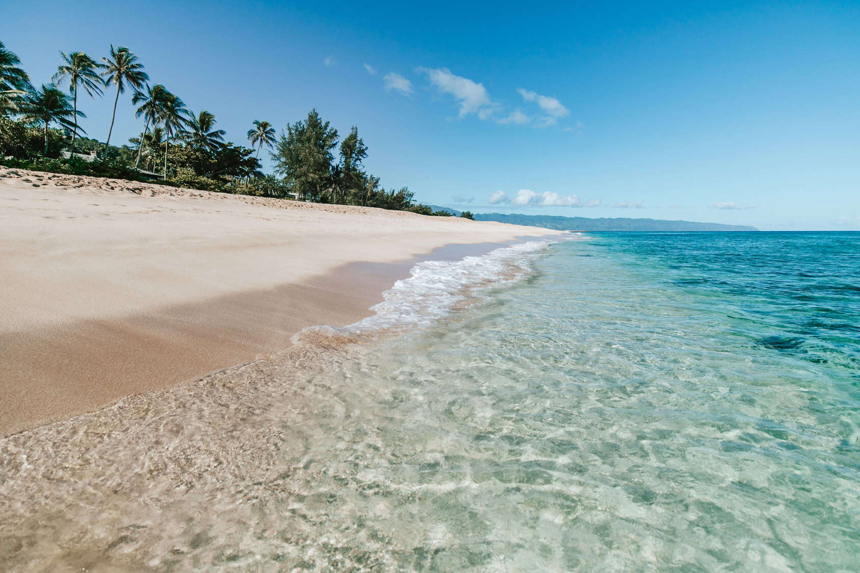 A calm beach with palm trees on the sand to the left and clear water to the right