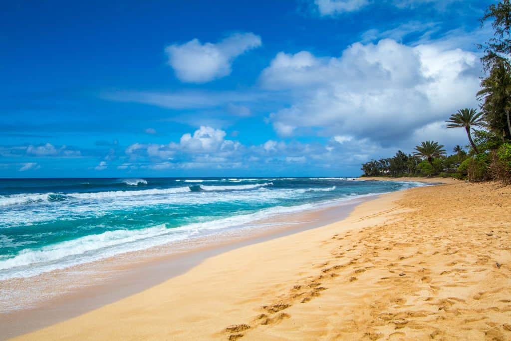 Turquoise waves lapping onto a yellow sandy beach with foot prints in it and palm trees lining it