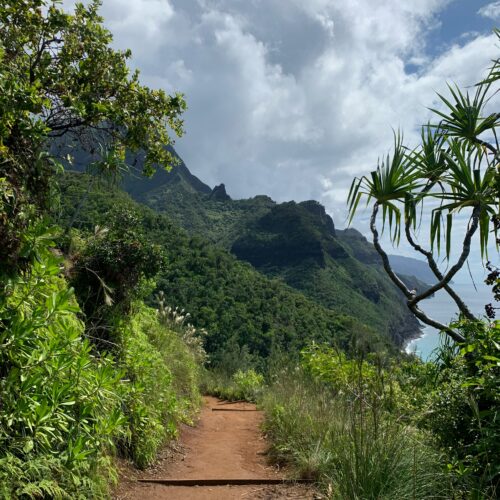 A dirt hiking trail through lush trees and an ocean in the background