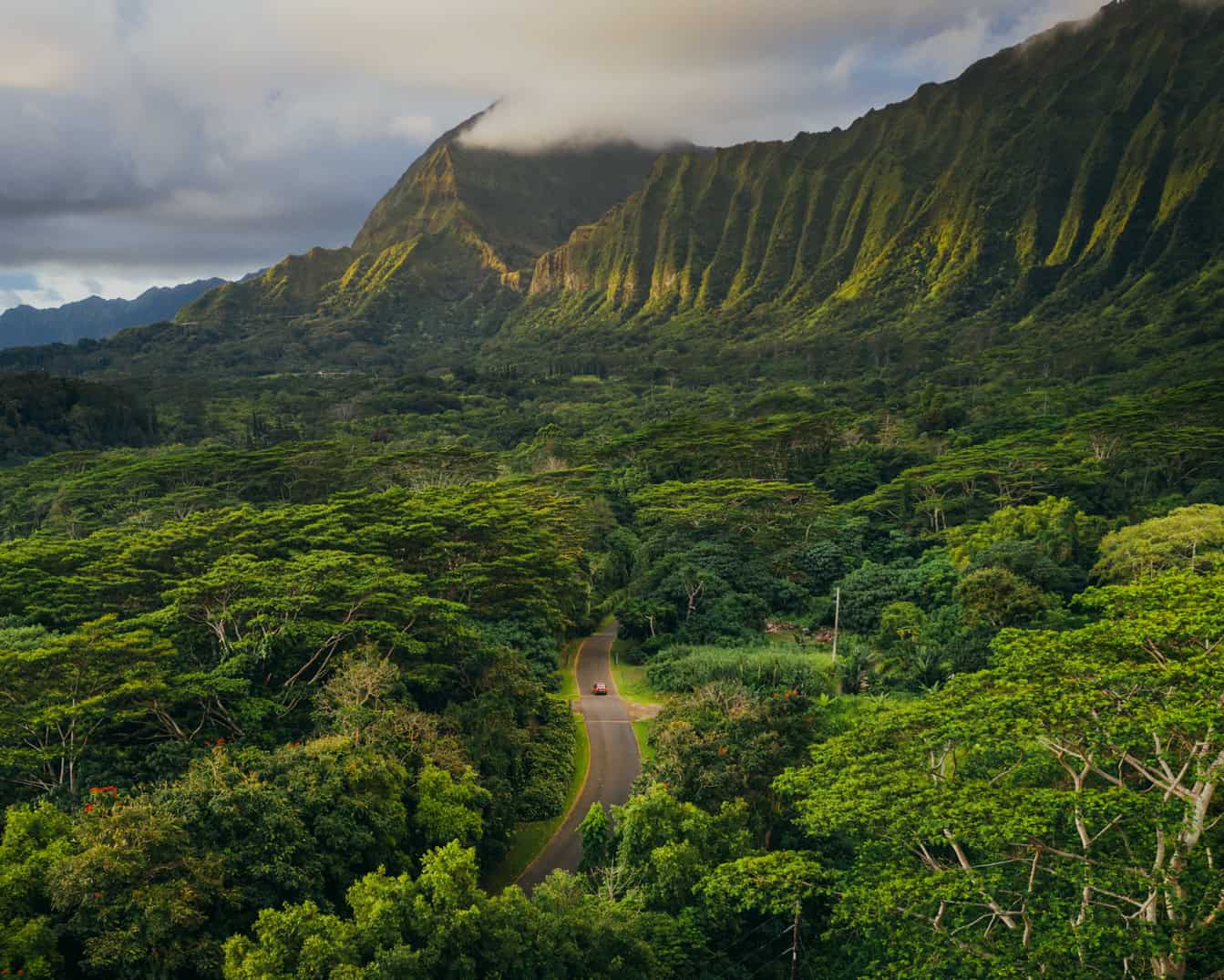 Lush green mountains surrounded by tropical trees with a road heading towards the mountains and one car on it