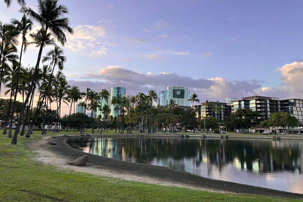 A calm lake of water surrounded by palm trees and a shining city of high rises behind it.