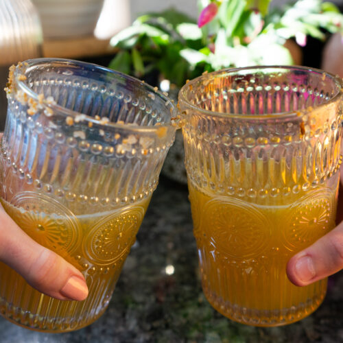 Two people cheersing glasses with yellow juice in it and plants in the background