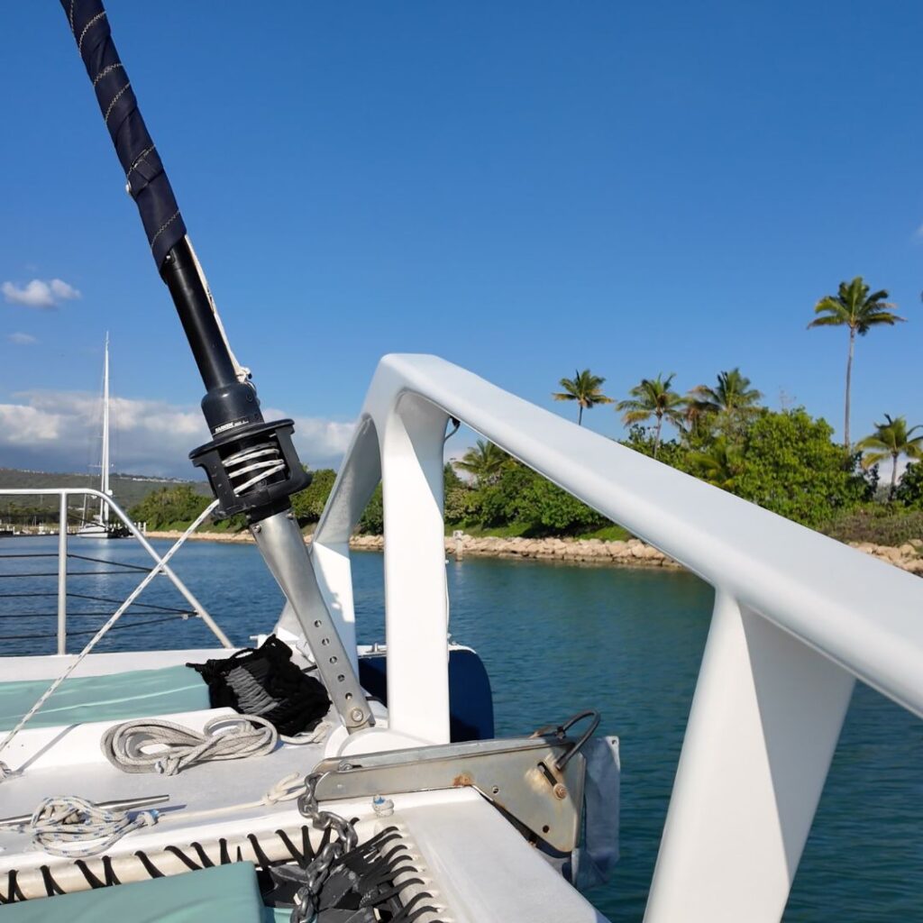 A view from the edge of a boat in the water with palm trees in the background.