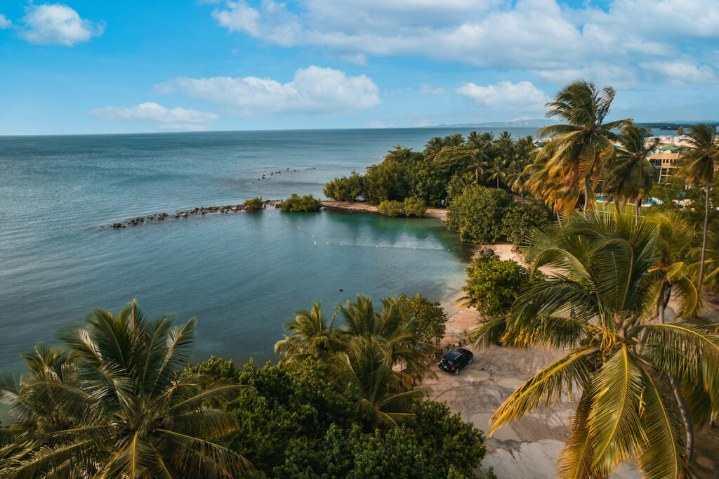 An aerial shot of a calm dark ocean and a beach with lots of palm trees on it.